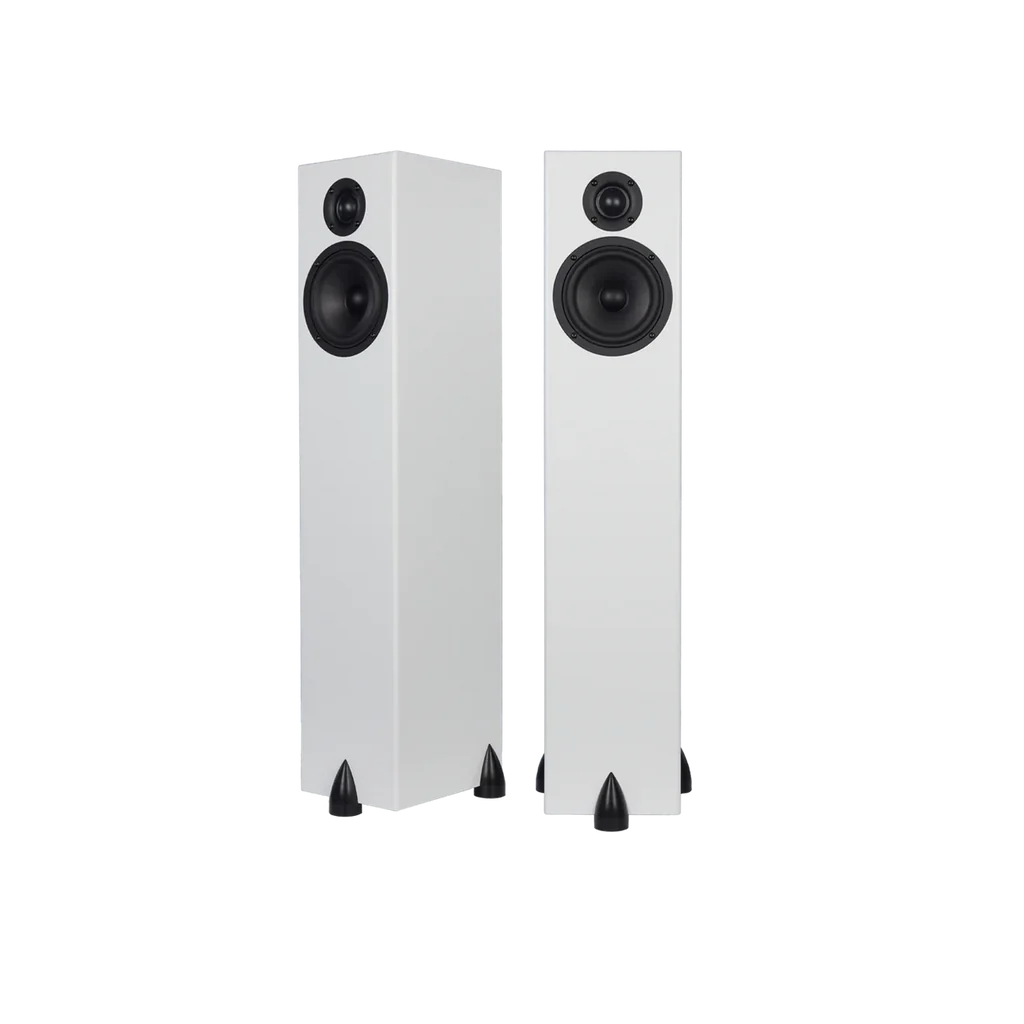 Totem Bison Tower Speaker Bundle with KIN Sub 8 Inch Subwoofer