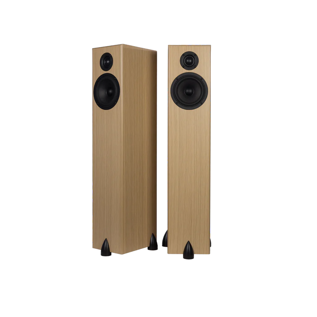 Totem Bison Tower Speaker Bundle with KIN Sub 8 Inch Subwoofer