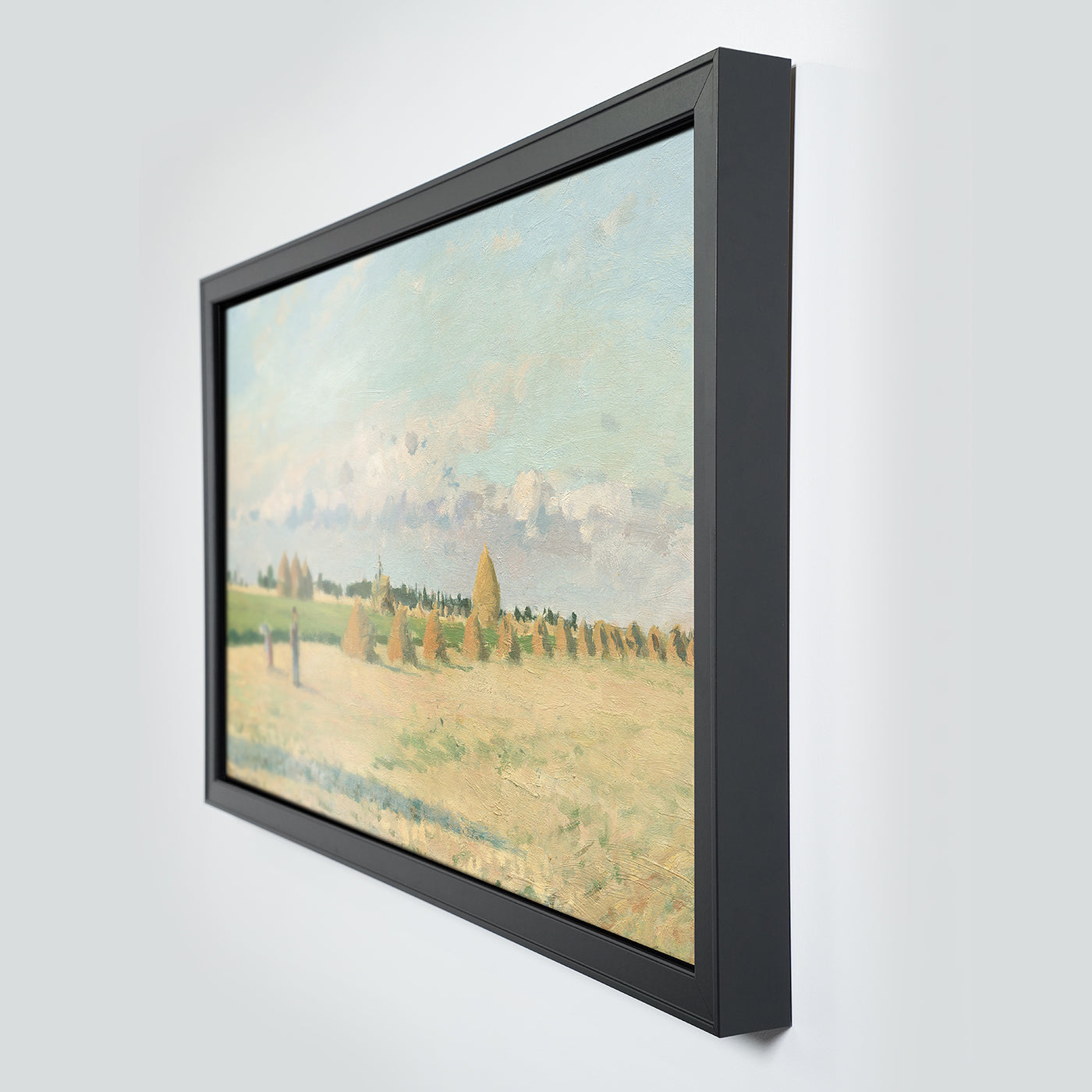 Leon Studio Frame for Sony BRAVIA 9