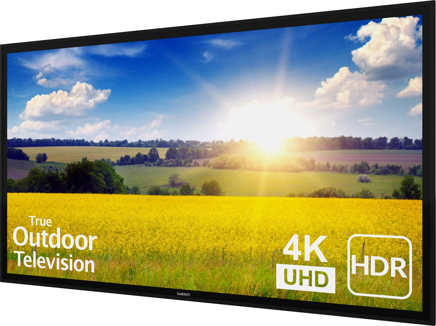SunBrite Pro 2 Series Full Sun 4K UHD 1000 NIT Outdoor TV - 65" - Black