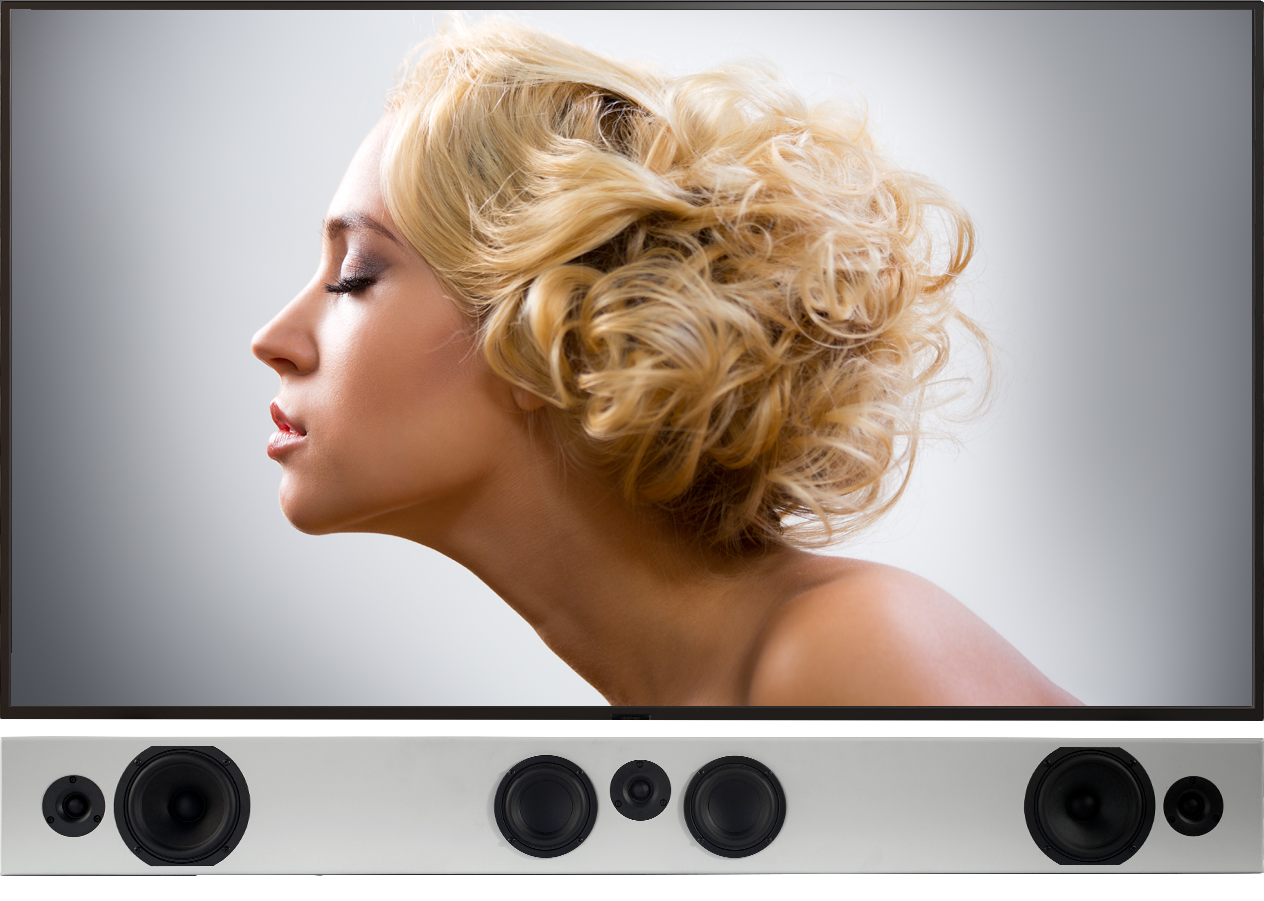 Totem Tribe Trio Solution Bar 3-Channel Passive Soundbar (Each)